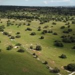 CONVENZIONE COMPENSI SIAE 2020 “MUSICA D’AMBIENTE”