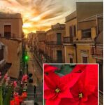 TREDICESIME E CONSUMI, LE STIME DI CONFCOMMERCIO PER LA PROVINCIA DI RAGUSA IN VISTA DELLE FESTIVITA’ DI FINE ANNO